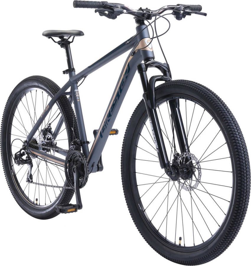 Bikestar Hardtail MTB Alu Sport Large 29 Inch 21 Speed zwart blauw