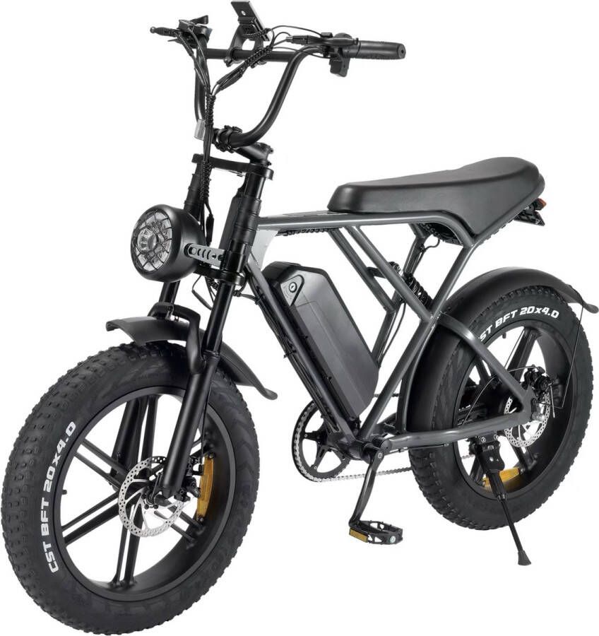 Comfort Inz V8 H9 Fatbike Elektrische fiets E bike Hydraulische rem Achtervering 250W 15Ah Matt Grijs